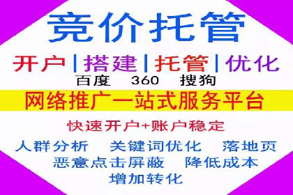 百度优化推广案例：打造行业领先品牌